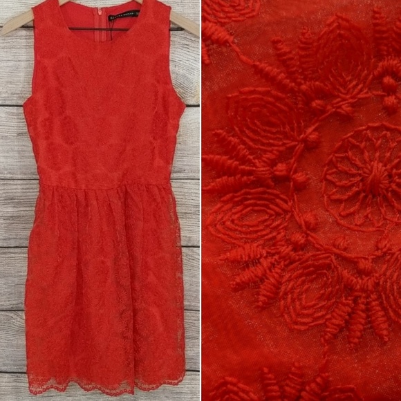 Zara Dresses & Skirts - NWOT {Zara} red embroidered fit and flare dress